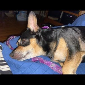 Meet your Posher, Michelle